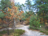 Las Milowy