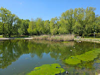 Jezioro w parku (Szymańskiego)
