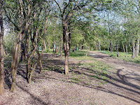 Ósmy Park