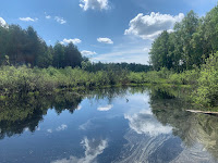 Mazowiecki Landscape Park