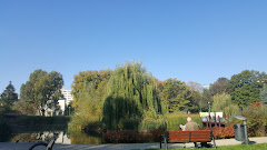 Zasław Malicki park