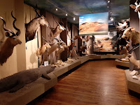 Museum of Hunting and Horsemanship