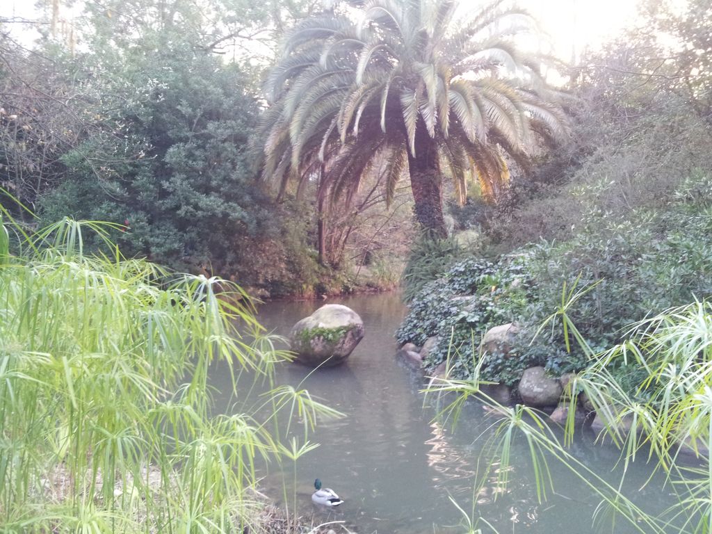 Gulbenkian Parkı