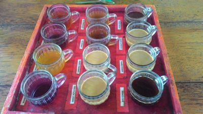बाली व्हाईट वॉटर राफ्टिंग - वाटेवर कॉफीची चख काढणे
