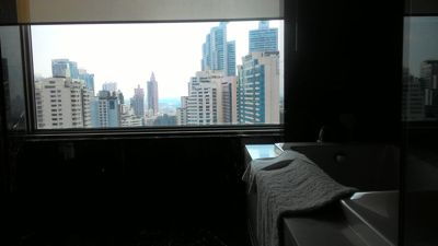 曼谷雷迪森廣場酒店 - 小套房浴室的景色