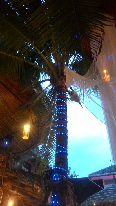 Superflow Beach Club Bangkok - Ingerichte palm