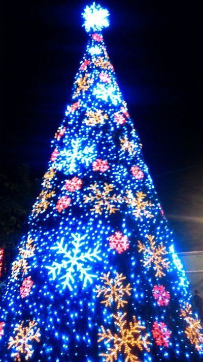 Plaza de la Trinidad - drzewko świąteczne