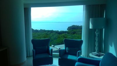 Radisson Cartagena Ocean Pavillon Hotel - Suite view on the lake