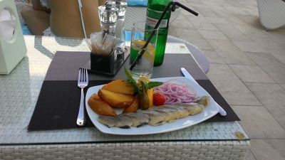 Panorama De Luxe hotel Odessa - herring plate by the pool