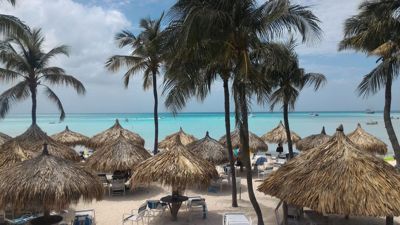 plaža sa palmama - Aruba