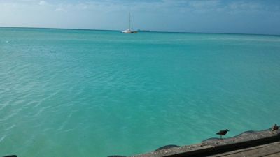 Aruba, une île heureuse - Claire mer bleue des Caraïbes