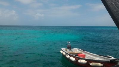 Jolly Pirates open bar snorkeling tour - Bird and Carribean sea