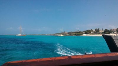 Jolly Pirates deschide bar snorkeling tur - Navigând în Marea Caraibelor