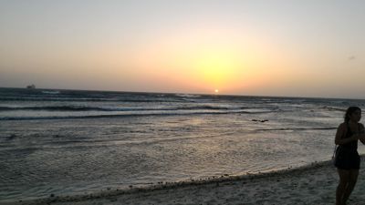 Palm strand solnedgang
