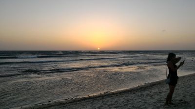 Palm strand solnedgang - Tar bilder av den vakre solnedgangen