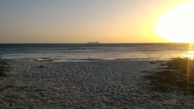 Palm strand solnedgang - Båt på havets store under solnedgang