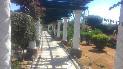 Rodi, isola più orientale greca - Giardino di Kalithea Springs