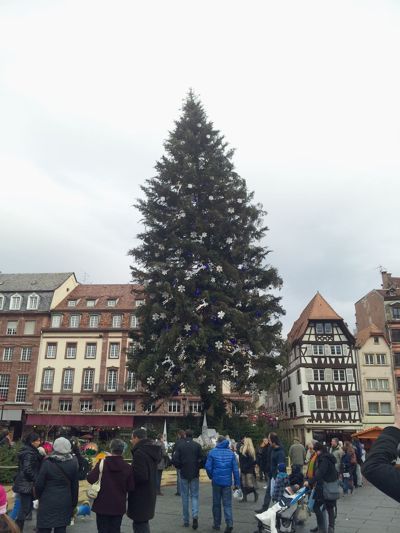 Božićno tržište u Strazburu - Glavno božićno drvo