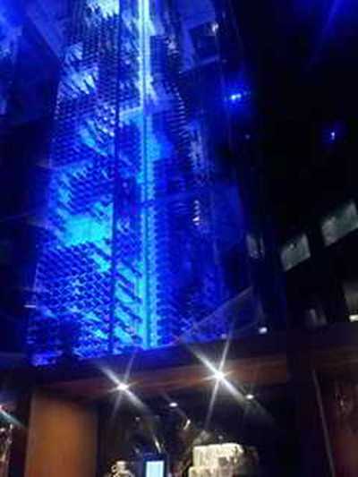 래디슨 블루 취리히 공항 호텔 - 와인 타워